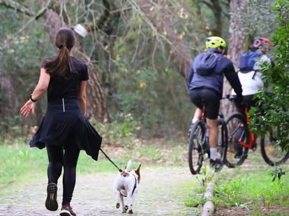 Uma corredora com um cão pela trela e dois ciclistas num caminho do Parque Florestal de Monsanto